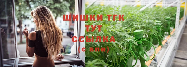 сатива Верея